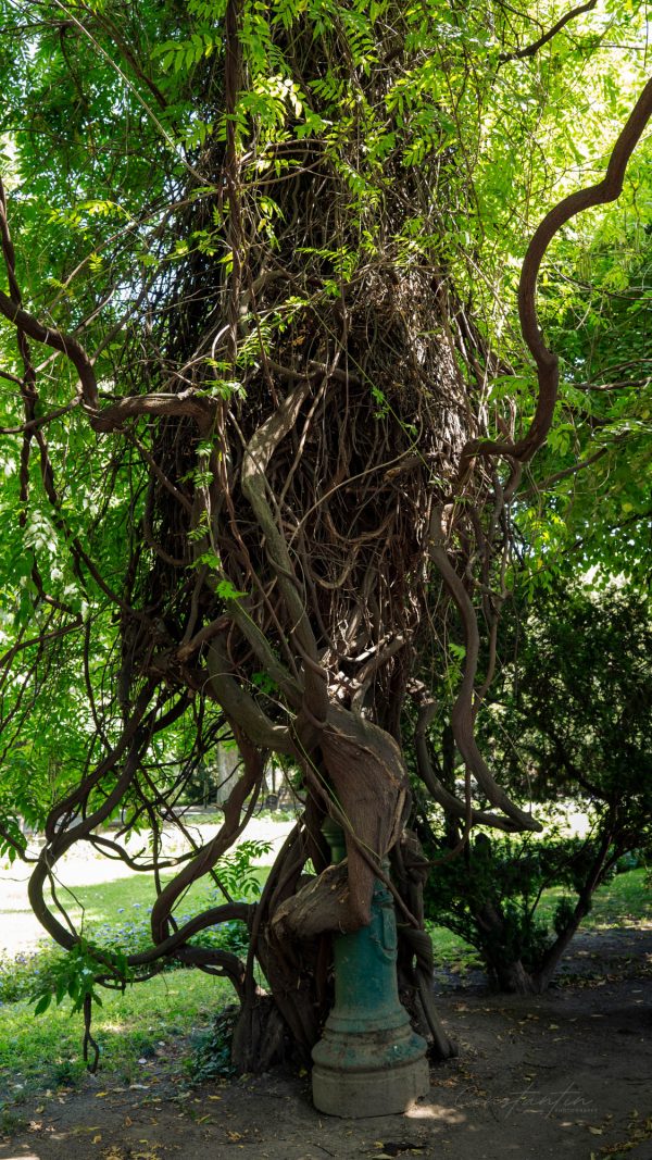 P1033465