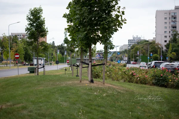 P1033208