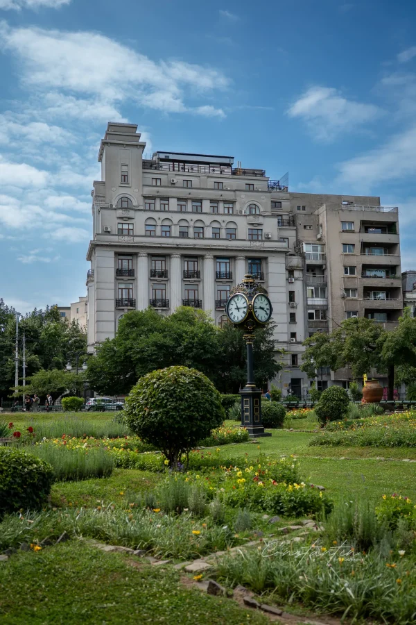 P1033254