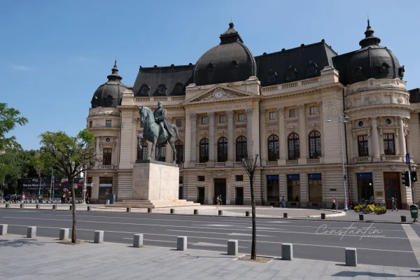 P1033341