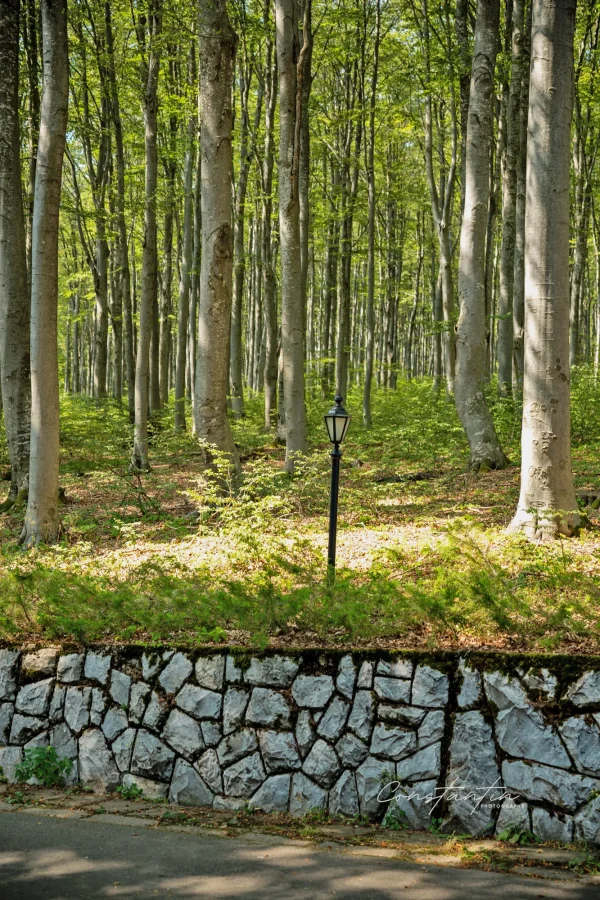 P1056071